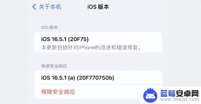 来啦！iOS 16.5.1（a）安全响应，修复网页漏洞