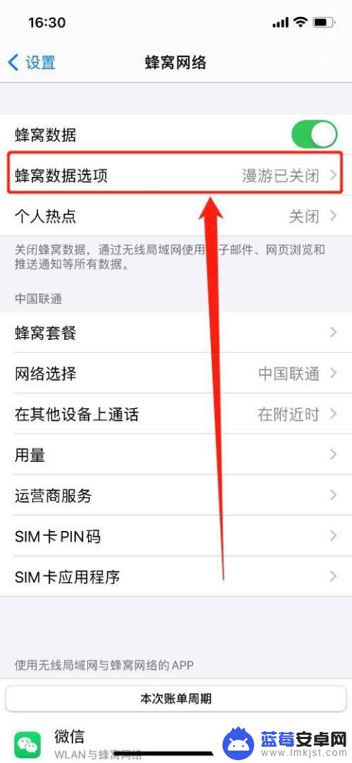 苹果手机的5g网络怎么打开 iPhone12如何开启5G模式