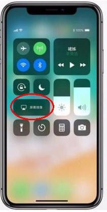 苹果手机截不了图怎么办 iPhone X截图的操作步骤