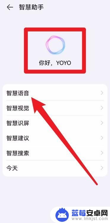 荣耀手机桌面yoyo建议怎样取消 荣耀yoyo手机怎么关闭桌面显示