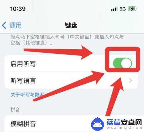苹果手机键盘语音输入怎么设置 苹果手机如何设置语音输入
