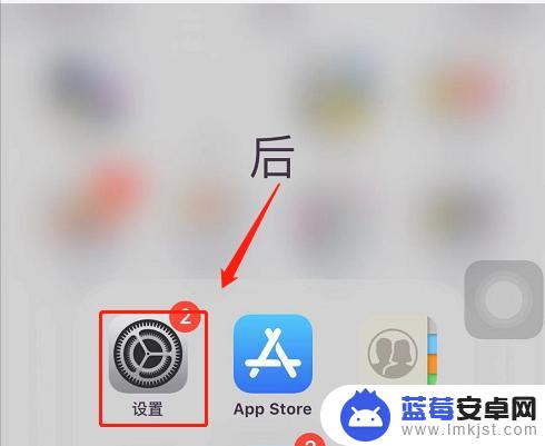 苹果手机屏幕下拉如何取消 如何关闭iPhone 6双击home键屏幕下拉功能