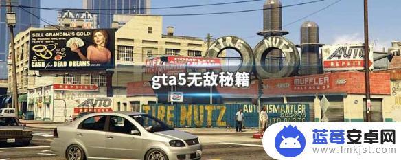 gtav无敌秘籍 GTA5无敌秘籍怎么使用