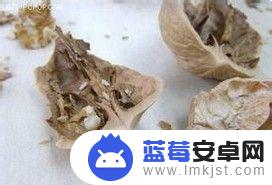 苹果手机如何输出核桃 快捷剥核桃的小技巧分享