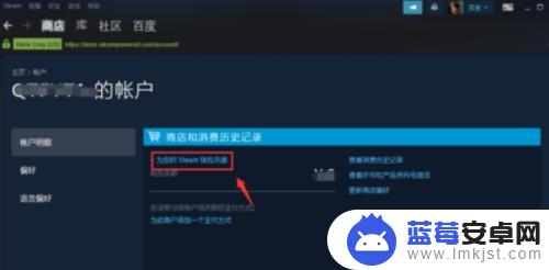 steam怎么设置充钱 Steam充值任意金额教程