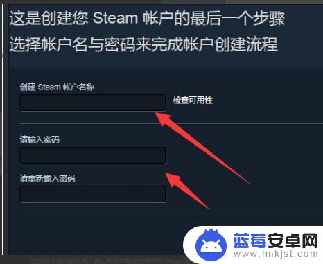 steam账号的邮箱怎么弄 Steam创建账号需要填写的电子邮件地址是什么