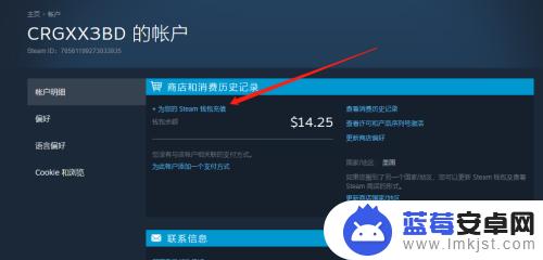 steam美金卡怎么买 steam充值5美元方法