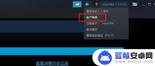 steam美金卡怎么买 steam充值5美元方法