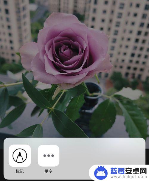 苹果手机怎样在照片上画圈 如何在苹果手机图片上画圈标记