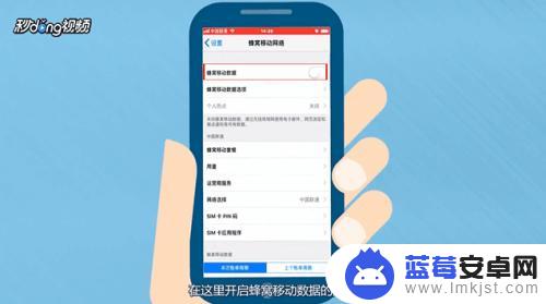 苹果手机怎么开通手机流量 iPhone手机数据流量怎么开启