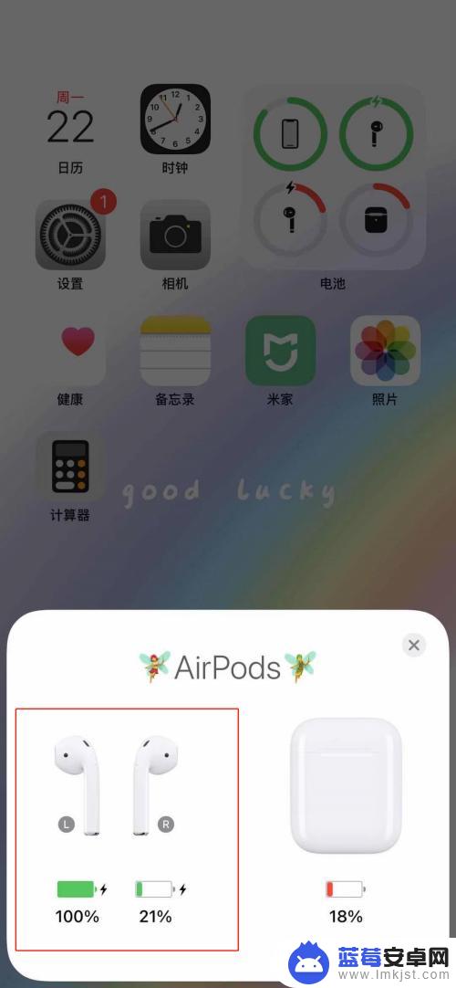 iphone从哪查看airpods左右耳电量 AirPods如何查看左右耳电量