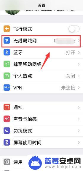 怎么改苹果手机ip iPhone手机IP地址修改教程