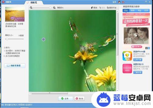 插花消除里面蝴蝶怎么消除 照片修图去掉不想要的部分教程