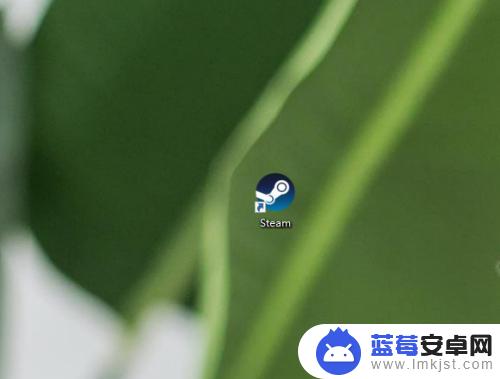 steam创建账号密码设置不成功 Steam注册密码不符合强度要求的解决方案