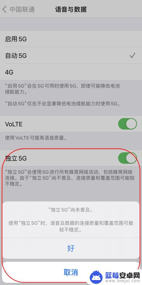 苹果手机5gsa流量怎么使用 iPhone如何开启5G网络SA服务