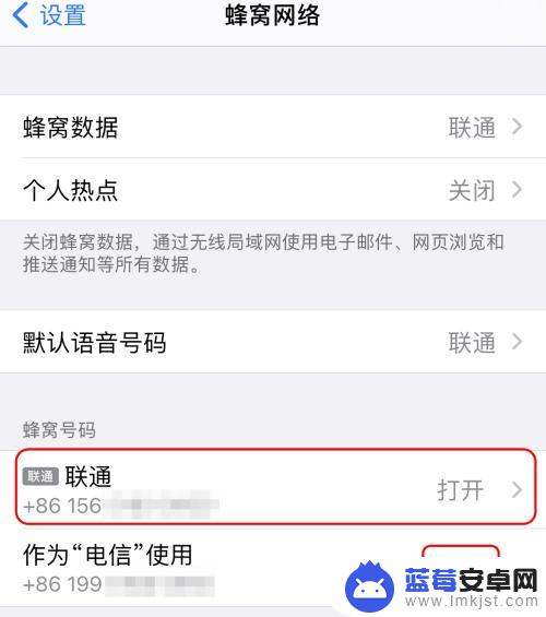 苹果手机5gsa流量怎么使用 iPhone如何开启5G网络SA服务