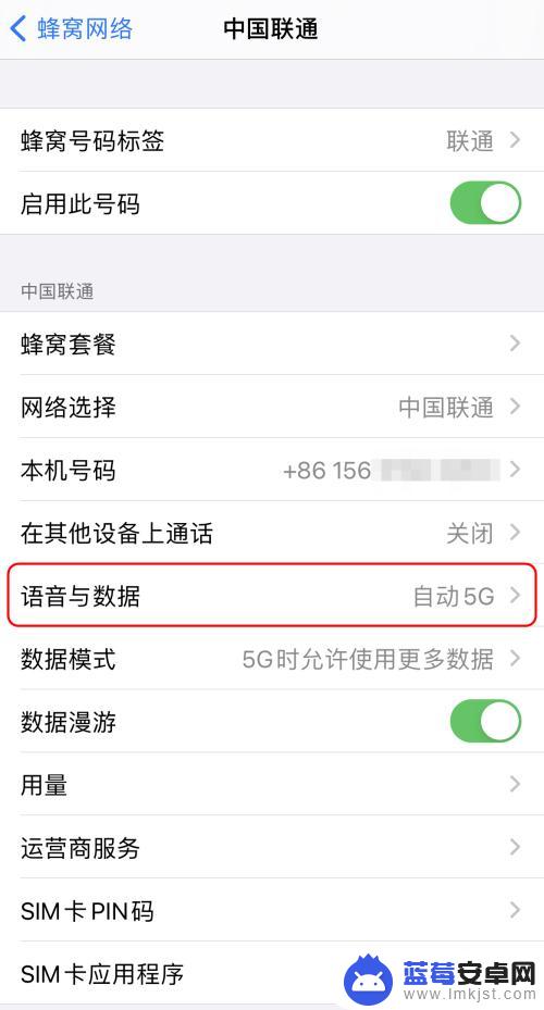 苹果手机5gsa流量怎么使用 iPhone如何开启5G网络SA服务