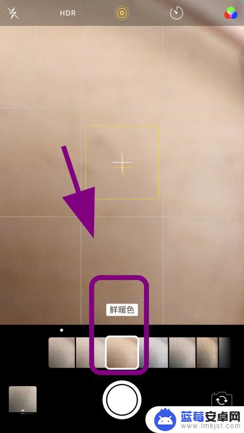 苹果手机滤镜在哪里 苹果手机相机美颜功能如何使用