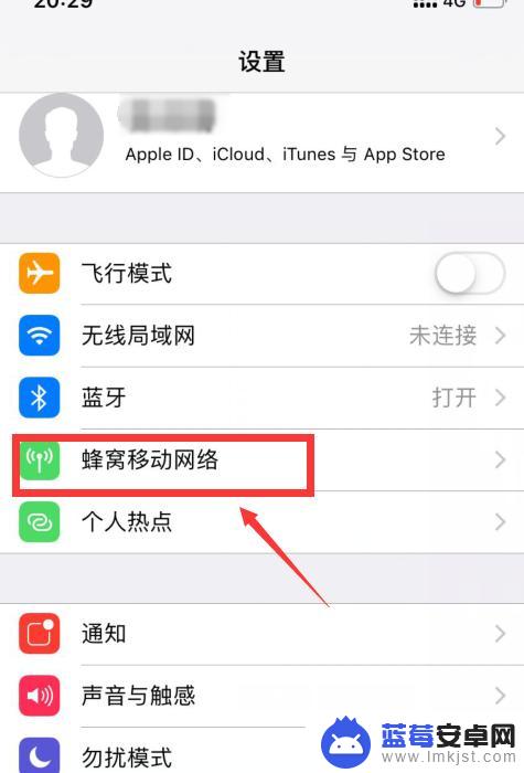 iphone未接入互联网怎么设置 Safari如何设置互联网接入