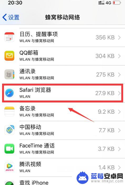 iphone未接入互联网怎么设置 Safari如何设置互联网接入