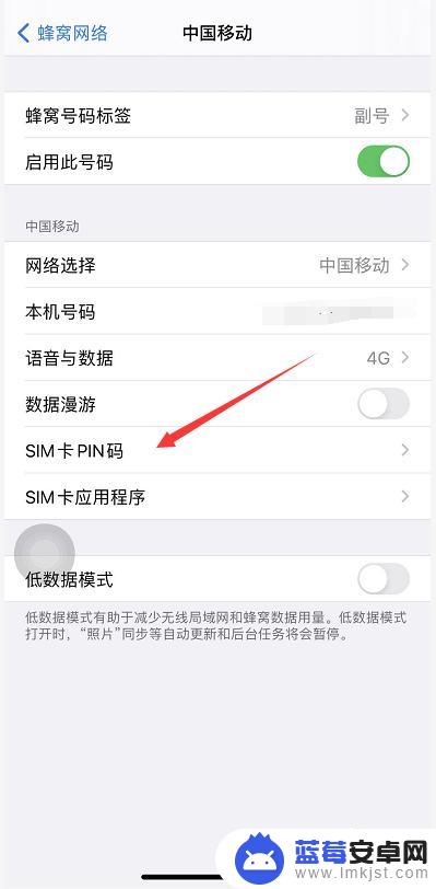 苹果手机怎么连接pim iPhone手机设置PIN码步骤