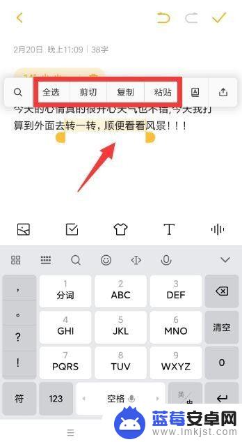 如何将iphone录音转文字 如何使用iPhone录音转文字应用实现转换