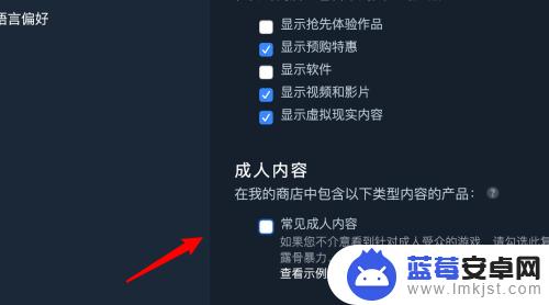 steam商店怎么屏蔽内容 steam如何设置成人内容显示权限