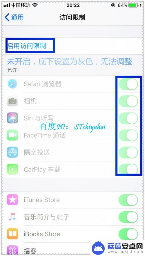 手机访问怎么设置 iPhone手机访问限制功能怎么开启