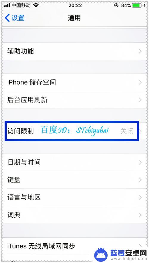 手机访问怎么设置 iPhone手机访问限制功能怎么开启