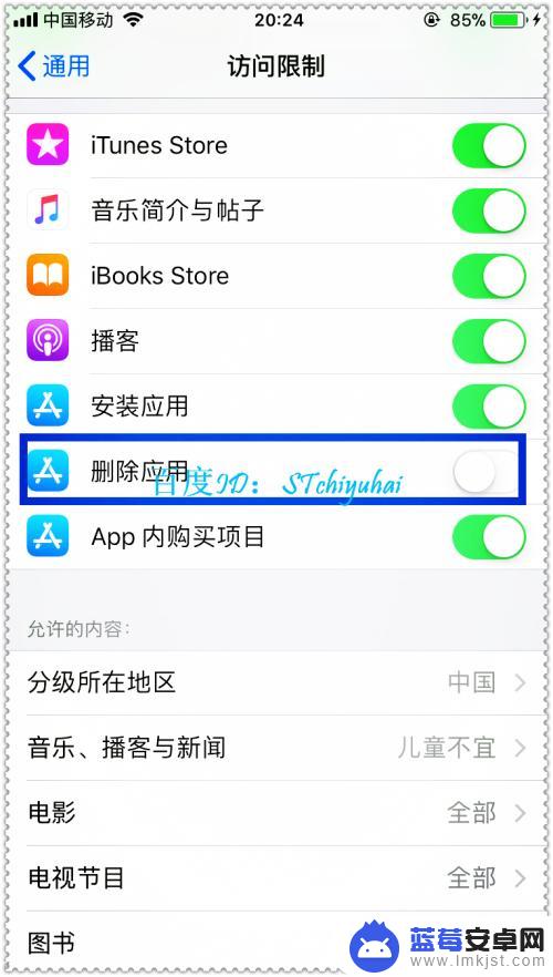 手机访问怎么设置 iPhone手机访问限制功能怎么开启