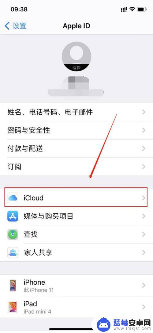 iphone手机拍照后自动变白了怎么回事 苹果手机拍照出现部分照片白屏怎么解决