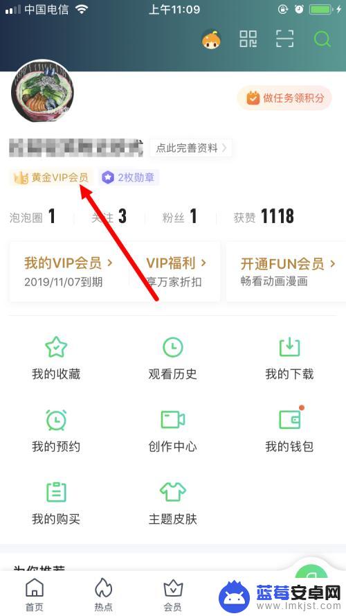 苹果手机爱奇艺怎么充值会员 苹果手机爱奇艺黄金VIP会员续费教程