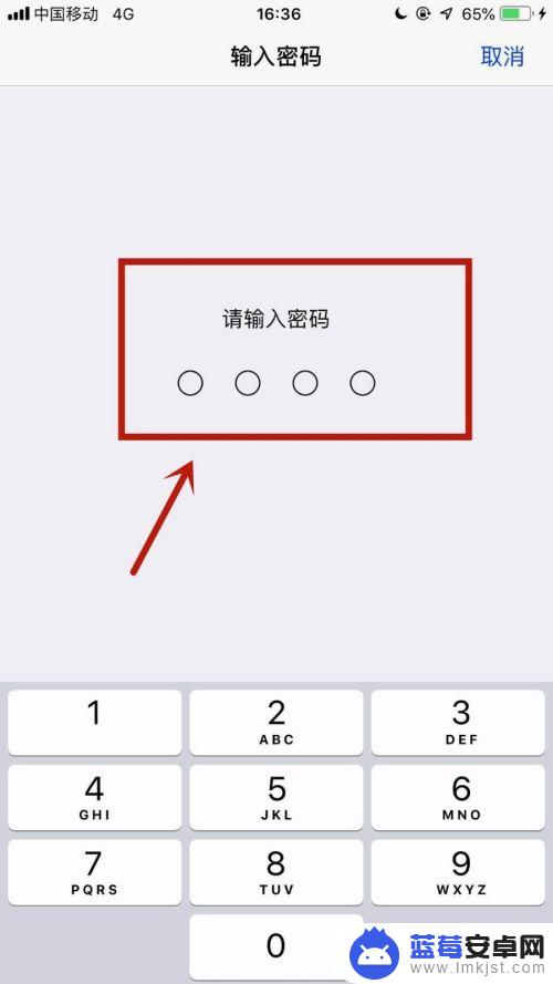 iphone似乎未接入 苹果手机如何接入互联网