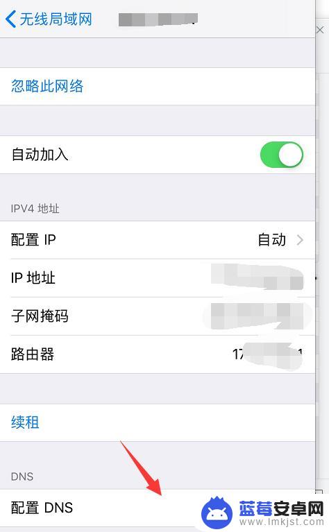 苹果手机如何查看自己的ip地址 Iphone手机如何查看本机ip地址