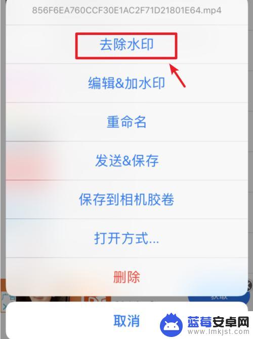 苹果手机如何去除视频水印 如何在苹果手机上轻松去除视频水印