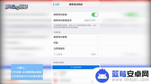 苹果手机打开数据在哪里 怎样关闭苹果手机的移动数据
