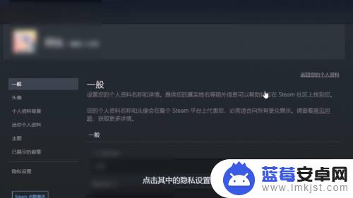 steam资料展示 Steam个人资料公开设置方法