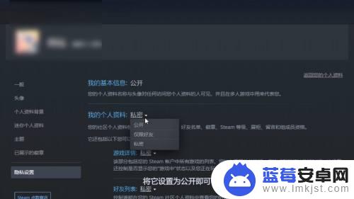 steam资料展示 Steam个人资料公开设置方法