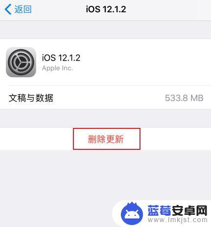 苹果手机不更新系统怎么取消红点 iOS更新后设置仍有小红点