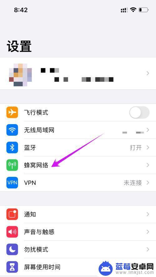 苹果手机怎么设置显示几g网络 iphone13 5G信号设置方法