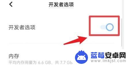 怎样关闭开发者模式vivo vivo开发者模式如何关闭