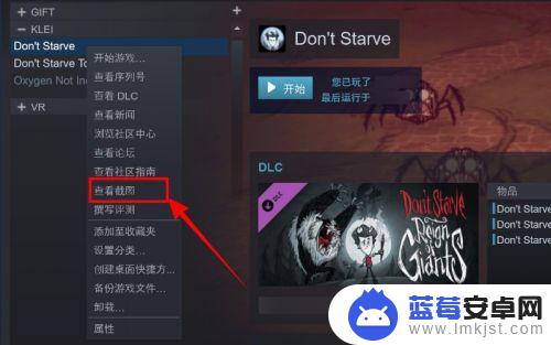 steam保存的截图在哪个文件夹 Steam截图保存路径在哪个文件夹