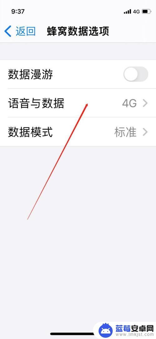 苹果手机从哪里打开5g 怎样设置iPhone手机的5G信号开启