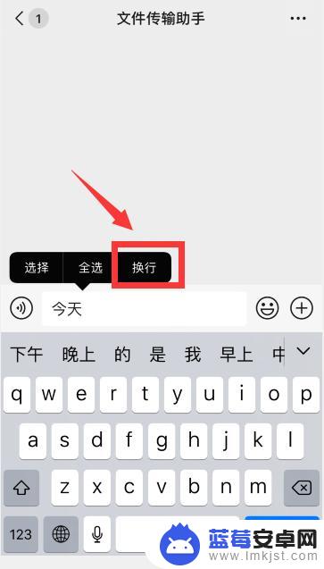 苹果手机如何打字排版教程 苹果手机（iPhone）怎么换行输入文字