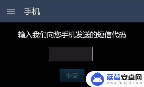 手机怎么开令牌 Steam手机令牌怎么开启