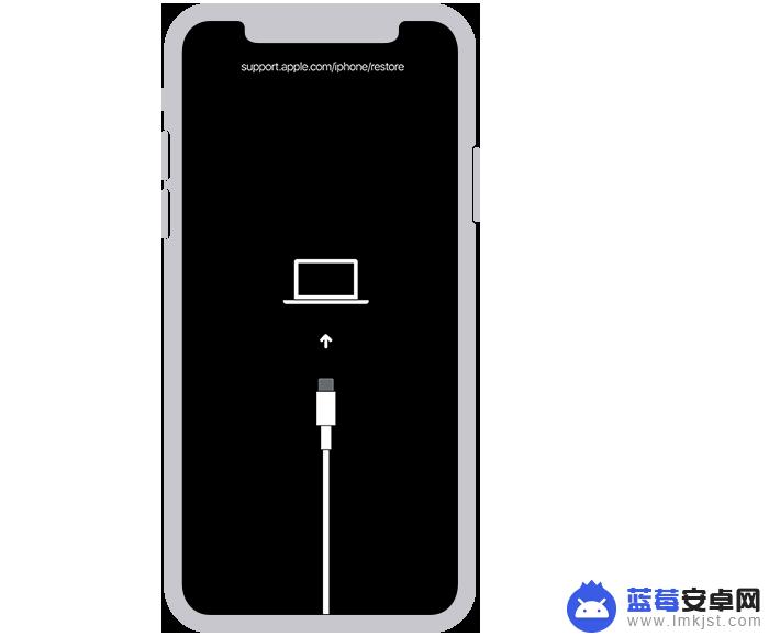 苹果手机显示不可用是怎么回事 如何解决iPhone锁屏界面显示不可用的问题