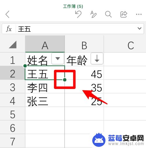 手机怎么把表格填充颜色 手机版Excel App单元格填充颜色教程