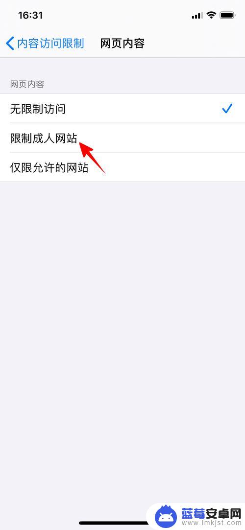 苹果手机怎么设置网页限制 怎样在苹果手机上限制访问成人网站