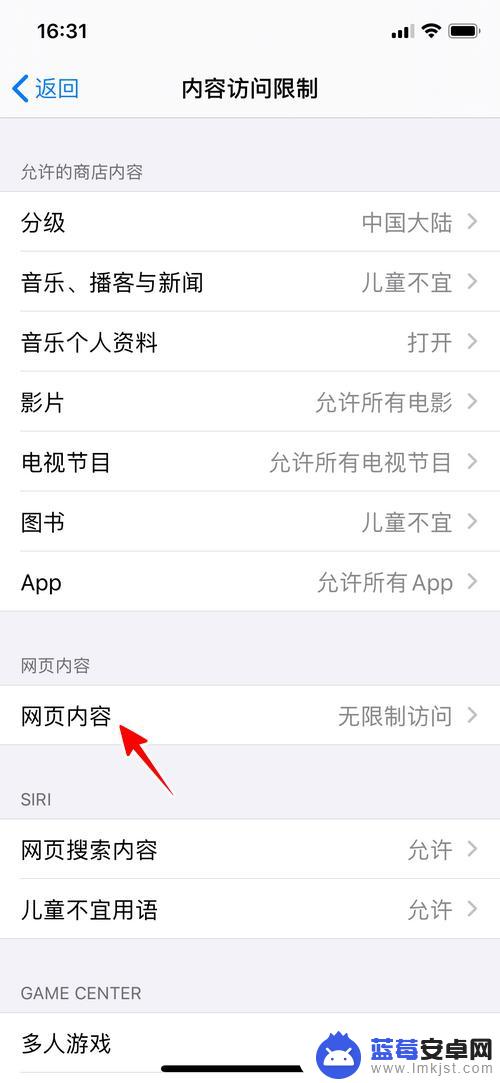 苹果手机怎么设置网页限制 怎样在苹果手机上限制访问成人网站