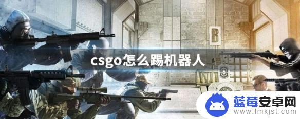 csgo如何t人机 CSGO怎么踢队友机器人